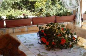 Raj Muraj Ferienappartement - Photo 20