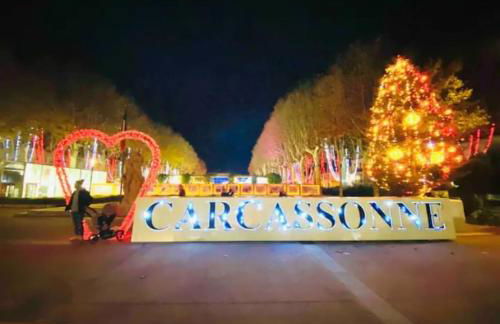 Appartement T2 avec vue château - Foto 22