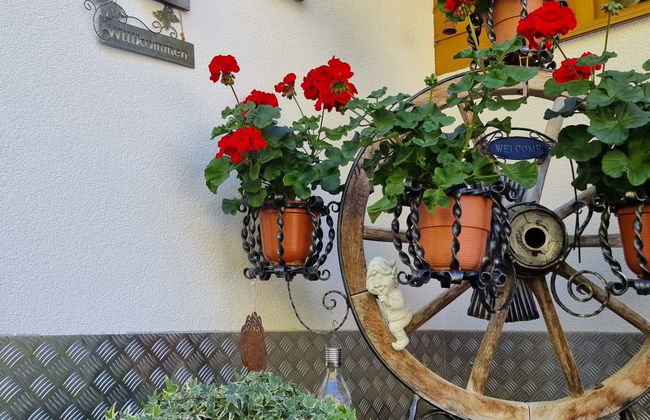 Garni Vesul - Foto 45