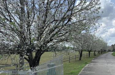 DoubleAcres - Foto 70