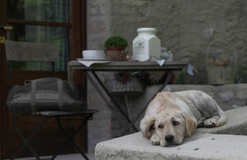 Premignaga Natural Home - Foto 21