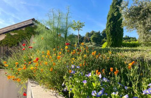 Chez Georges - Maison 6 - Les gîtes du Verdon - Foto 33