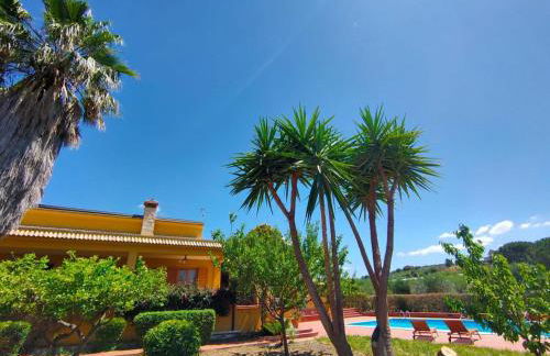 Villa degli ulivi - Foto 6