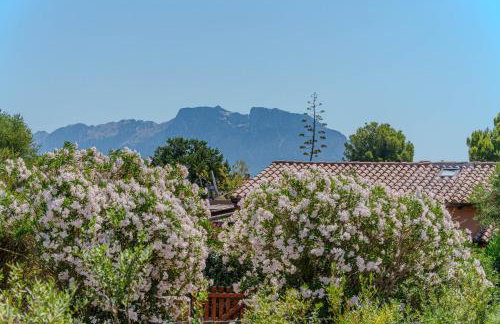 Casa Vacanze I Sugheri - Foto 15