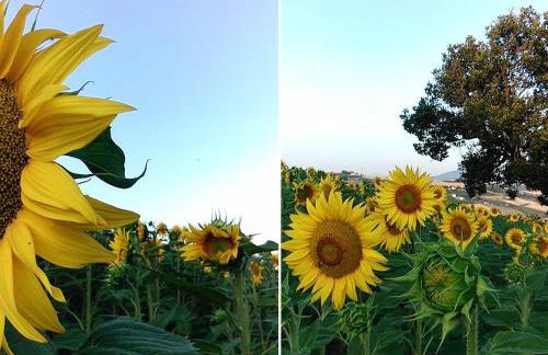 C'era Una Volta - Foto 11