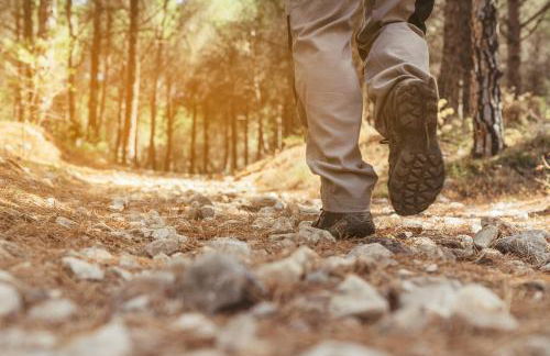 Monte das Mariolas - Foto 7