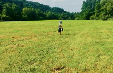 Ferienhaus CLARNI - Foto 12