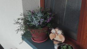 Dom w spokojnej okolicy - Foto 3