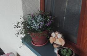 Dom w spokojnej okolicy - Foto 3