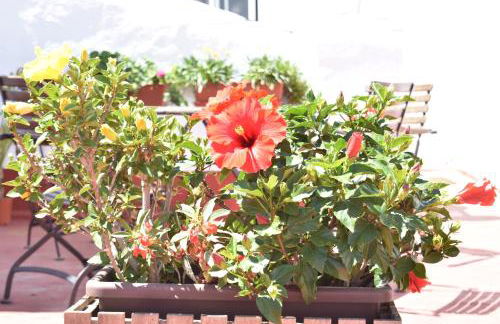 Apartamento La Discusión de Veedor 12 - Foto 16