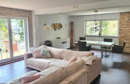 Waldhaus zum gechillten Hirsch in der Natur, bei der Moseltherme Traben-Trarbach - Foto 12