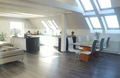 Apartamenty Holiday Slaw jacuzzi bilard - Foto 9