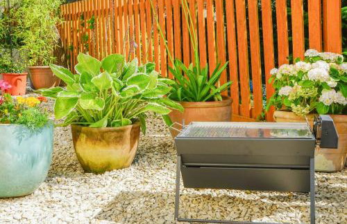 Peaceful Annexe With Patio Near Coast & Exmoor - Foto 12