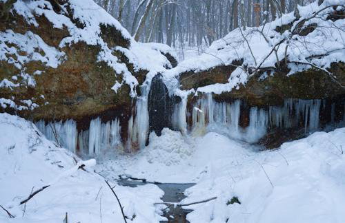 Pro-Apartments Croatia - Foto 62