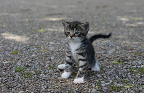 Ferienhof Schulz - Foto 19