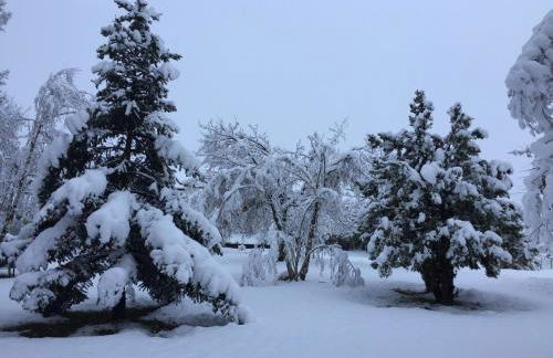 Happy hill - appartamento Quercia - natura e relax - Foto 39