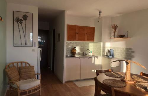 "Les Palmiers" Studio spacieux vue mer Terrasse & Parking - Foto 8