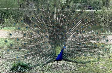 Lighthouse - Modern house with garden - 20 Minutes to Düsseldorf - Photo 14
