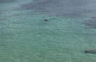 Villa Sabaudia - Foto 41