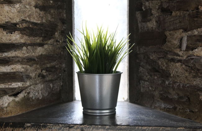 Charming Countryside Cottage, Diptford Near Totnes - Foto 7