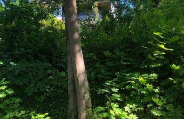 Apartment-47 Fulda - Photo 67