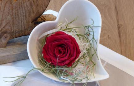 Ferienwohnung Allgäuer Landhaus Stocker in Hopferau-Füssen - Foto 50