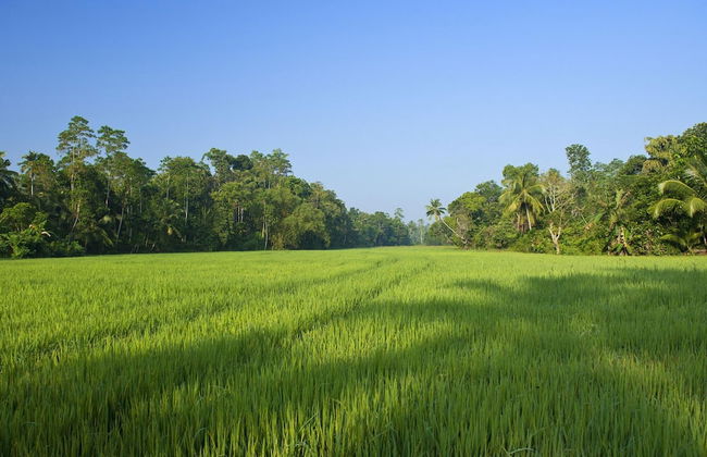 Dutch Colonial Period Villa In Contemporary Style - Foto 9