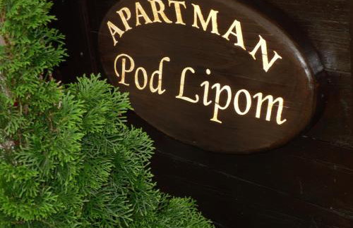 Apartment Pod Lipom - Photo 22