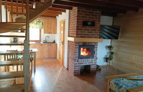 Bieszczadzki Bohater Domki 533-502-137 - Photo 80