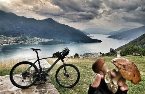 Incantevole Terrazza sul Lago di Como - Foto 13