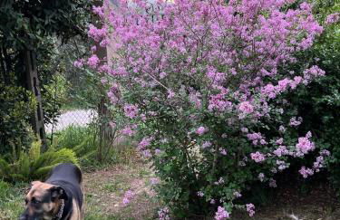 La Casa Dei Fiori - Foto 36