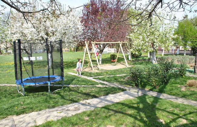 Sunčani Apartments - Foto 19