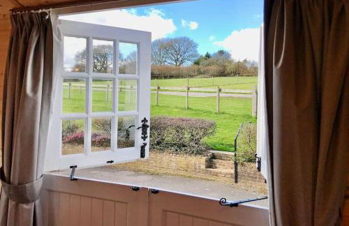 Arniss New Forest - Photo 46