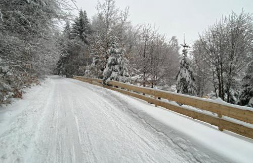 Domki pod Kamionna - Photo 43