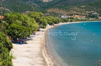 Althea Dream Summer House - Photo 8