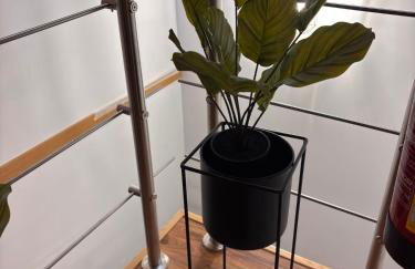 La Casa de Piedra - Foto 61