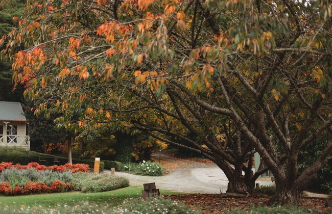 Weardale Estate - Photo 79