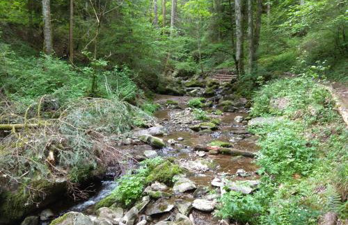 Amy's Apartment, relax and enjoy - Foto 42