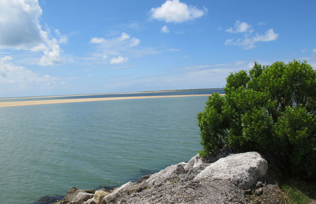 Les Rosiers - Foto 23