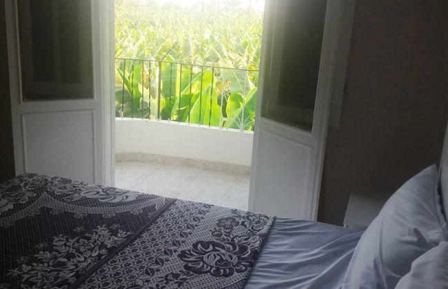 Adam Apartments - Foto 8