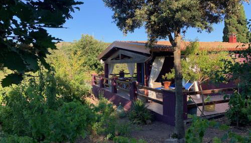 Villa Veronica - Photo 3, Garden, Garden view