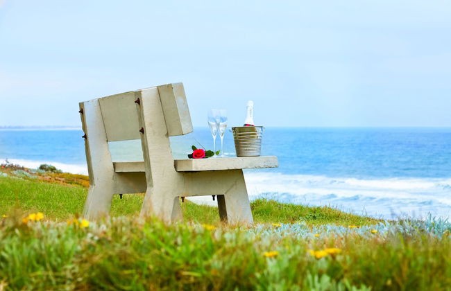 First Group Desert Rose - Photo 42