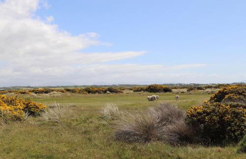 Trewan Lodge - Foto 27