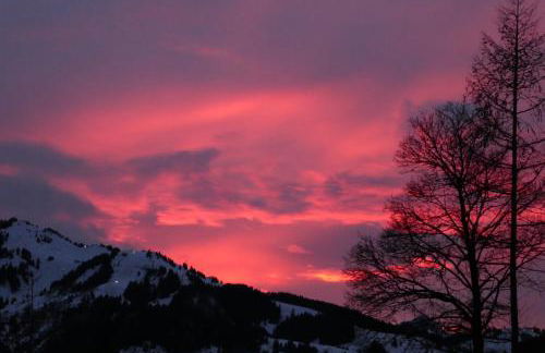 Berggasthof Bichlersee - Foto 13