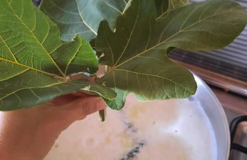 Herdade da Ordem - Foto 25