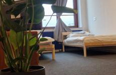 Ausblick Freital 3 - Foto 5