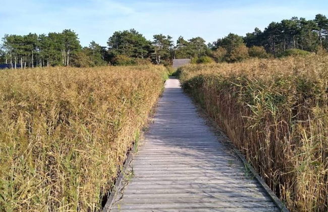 6 Person Holiday Home in Hojby - Photo 17