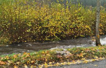 Gîte Le Clos des Vosges - Foto 34