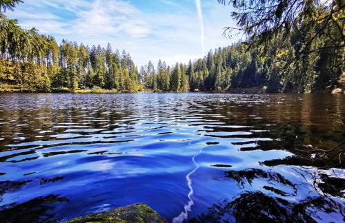Traumhafte Maisonette-Wohnung im Schwarzwald - Foto 47