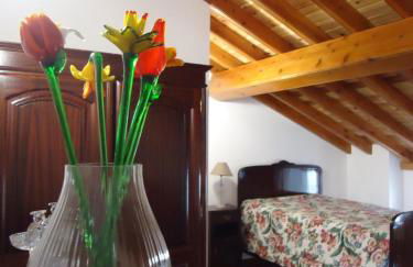 Ribeirinha House - Photo 14